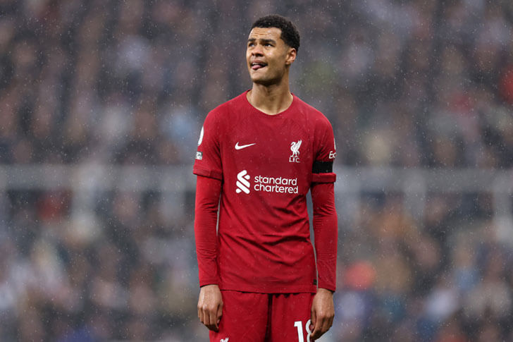 Cody Gakpo Cody Gakpo