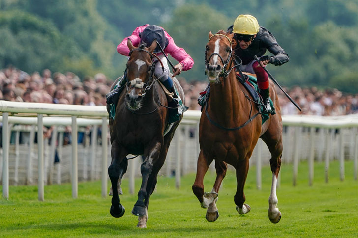 Horse Racing Horse Racing