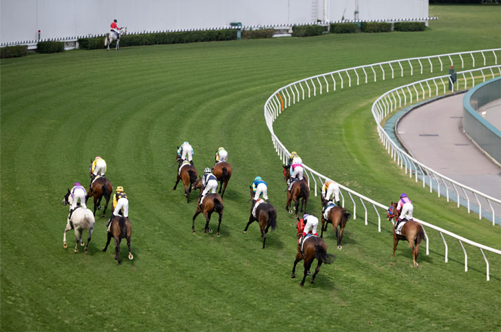 Horse Racing Horse Racing