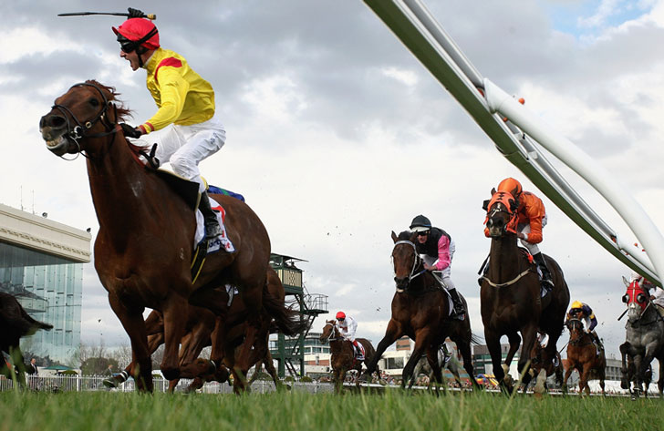 Horse Racing Turffontein Horse Racing Turffontein