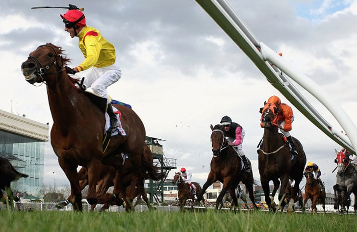 Horse Racing Horse Racing