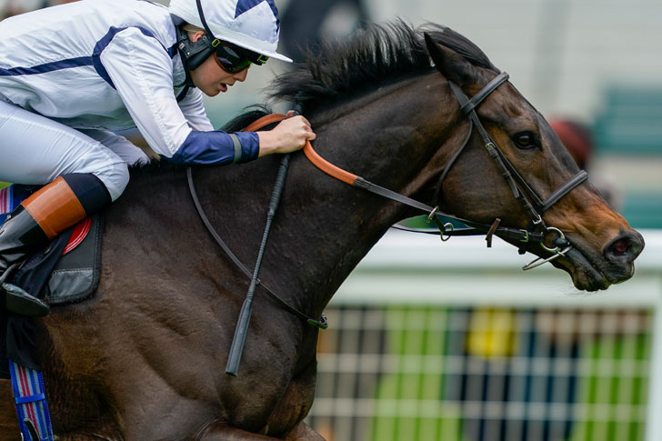 Horse Racing Horse Racing