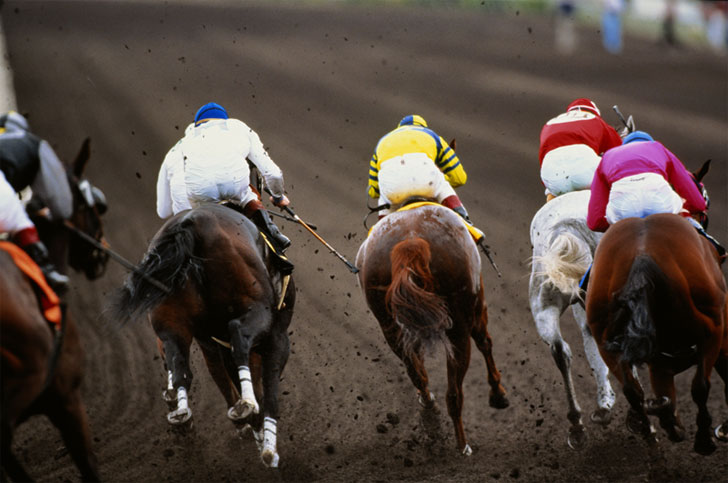 Horse Racing Horse Racing